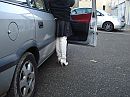 Parkeerplaats bij winkels, foto 3072x2304, 10 reacties, 98 stemmen