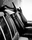 Play with me...., foto 2884x3556, 20 reacties, 80 stemmen