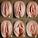 Poll....., foto 900x900, 13 reacties, 16 stemmen