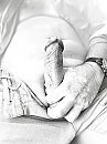 Pop out hard, foto 1536x2048, 0 reacties, 0 stemmen