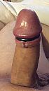 Ring om eikel, foto 388x709, 0 reacties, 1 stemmen