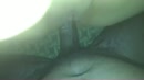 Roberto vs New Hotwife, film 00:00:15, 5 reacties, 71 stemmen