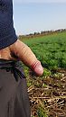 Rondje hardlopen, foto 2250x4000, 0 reacties, 2 stemmen