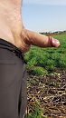 Rondje hardlopen, foto 2250x4000, 0 reacties, 2 stemmen
