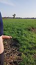 Rondje hardlopen, foto 2250x4000, 1 reacties, 3 stemmen