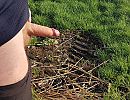 Rondje hardlopen, foto 2265x1756, 0 reacties, 2 stemmen