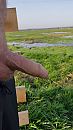 Rondje hardlopen, foto 2250x4000, 1 reacties, 2 stemmen