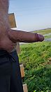 Rondje hardlopen, foto 2250x4000, 0 reacties, 2 stemmen