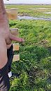 Rondje hardlopen, foto 2250x4000, 0 reacties, 4 stemmen