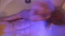 Ruined fun!, film 00:00:29, 3 reacties, 12 stemmen