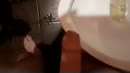 Samen spuiten in pornobios, film 00:00:00, 0 reacties, 14 stemmen