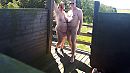 Samen flashen!, foto 2765x1556, 81 reacties, 309 stemmen