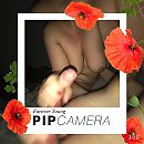 Samen spelen..., foto 960x960, 3 reacties, 18 stemmen