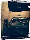 Saskiaslet, foto 480x640, 1 reacties, 2 stemmen
