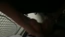 She has fun with my cock, film 00:00:19, 0 reacties, 10 stemmen