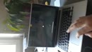 Showyourself all in, film 00:00:28, 1 reacties, 6 stemmen