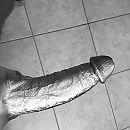Silver, foto 960x960, 23 reacties, 33 stemmen