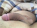 Slapen ?, foto 4000x3000, 6 reacties, 7 stemmen