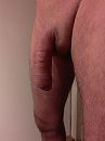 Slappe pompworst, foto 540x720, 5 reacties, 17 stemmen