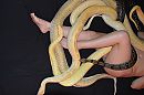 Snakeshoot, foto 4000x2659, 6 reacties, 16 stemmen