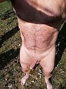 Sommige blaadjes hangen nog, foto 3000x4000, 0 reacties, 7 stemmen
