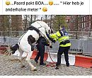 Soms komt het uit een....., foto 1024x875, 7 reacties, 25 stemmen