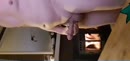 Spelen met mijn dikke pik, film 00:00:29, 2 reacties, 1 stemmen