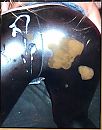 Spuitfoto, foto 575x729, 1 reacties, 4 stemmen