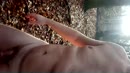 Stiekem..., film 00:00:00, 28 reacties, 71 stemmen