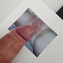 Stijf en vol zaad, foto 2448x2448, 0 reacties, 1 stemmen