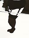 Stockings 2, foto 1550x2022, 101 reacties, 263 stemmen