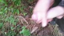 Stout doen onder werk tijd:), film 00:00:17, 16 reacties, 63 stemmen