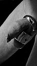 Stretcher en Teardrop, foto 371x660, 7 reacties, 15 stemmen