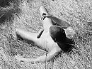 Sun, naked skin, aroused, foto 1156x867, 5 reacties, 22 stemmen