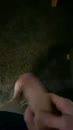 Swing swing, film 00:00:04, 0 reacties, 3 stemmen
