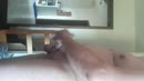 Teasing the neighbours, film 00:00:23, 0 reacties, 3 stemmen