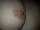 Tepel, mee gespeeld!, foto 4000x3000, 10 reacties, 38 stemmen