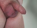 Tgif, foto 4000x3000, 0 reacties, 2 stemmen