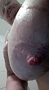 The beautiful tit of, foto 728x1296, 9 reacties, 11 stemmen