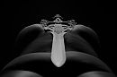 The power of Lady Roxanne, foto 1400x933, 14 reacties, 73 stemmen