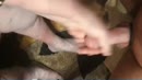 This how it started, film 00:00:24, 4 reacties, 18 stemmen