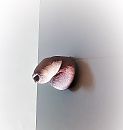 Through a hole. (Bewerkt)., foto 1655x1738, 2 reacties, 5 stemmen