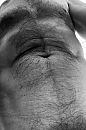 Torso, foto 512x767, 2 reacties, 4 stemmen