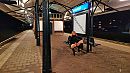 Trein gemist, foto 1280x720, 8 reacties, 64 stemmen