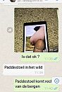Tributes worden doorgezonden, foto 640x940, 1 reacties, 30 stemmen