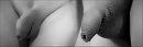 Twin., foto 1895x629, 2 reacties, 3 stemmen