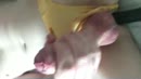 Uit Joey’s mega spuitcompilati, film 00:00:10, 7 reacties, 38 stemmen