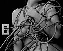 Vakliteratuur ...., foto 332x270, 3 reacties, 16 stemmen