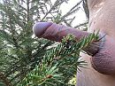 Vast een kerstboom versierd., foto 4000x3000, 3 reacties, 18 stemmen