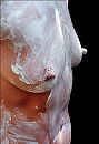 Vloeibaar Latex, foto 2731x3971, 4 reacties, 37 stemmen
